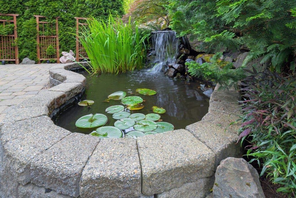 backyard raised pond with waterfall
