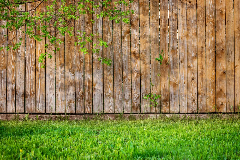 Best Backyard Privacy Fence Ideas - Image 1