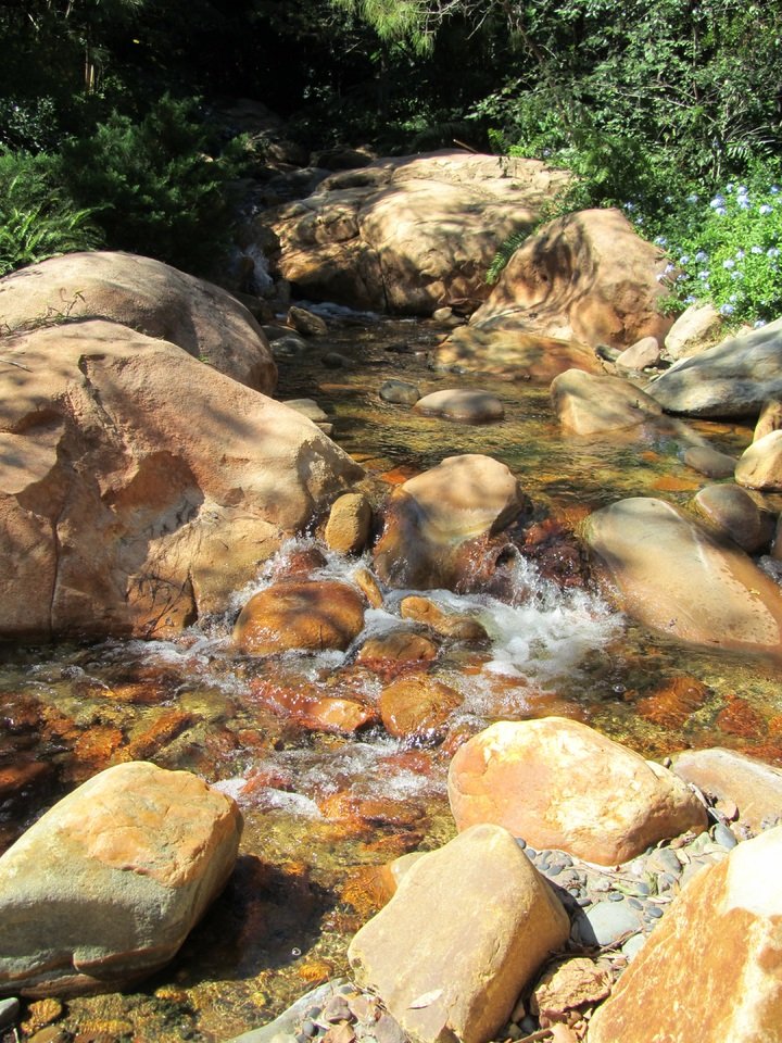 stream water rocks spring creek nature